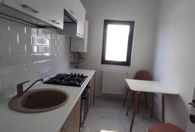 Apartament cu 2 camere decomandat Lunca Cetatuii Cod 150857 - 4