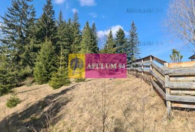 Teren de vânzare în Predeal - Zona Forban - 1