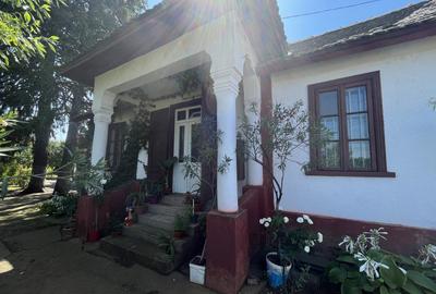 Popas La Doi Brazi - magazine, bar, terasă, casă boierească, grădină și piscină - 14