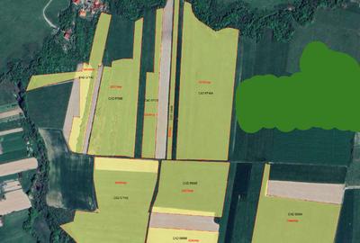 Teren arabil 19,87 ha — Tileagd, Bihor - 2