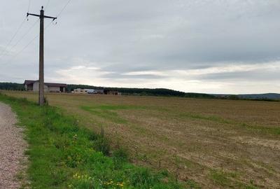 Teren Construcții intravilan de 2158 mp, în Oșorhei