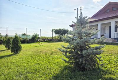 Ferma si casa de vanzare - teren intravilan, la 20min de Constanta! - 2