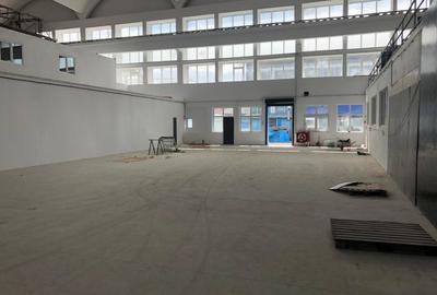 Hala industrială 5.400 mp – Șoseaua Giurgiului - 4