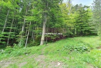Teren intravilan de vanzare in Sinaia - Zona Furnica - 3