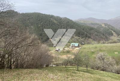 Teren intravilan vanzare 3607 mp in Rau Sadului Sibiu