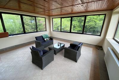 Vila superba - 7 camere - vanzare - Iancu Nicolae - Padurea Baneasa - 9