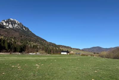 Teren intravilan In Zarnesti zona Plaiul Foii deschidere asfalt si priveliste - 9