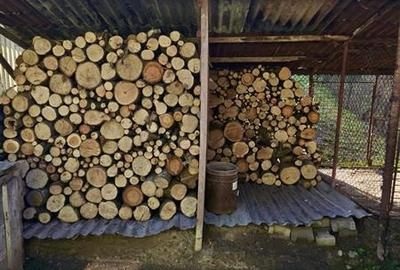 Casa potential:locuire multifamiliala,activitati comerciale,birouri,677 mp teren - 17