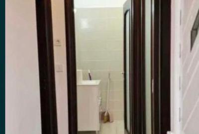 Tineretului, ap. 2 camere, 50mp, parter, curte 10mp, 650Euro/luna - 5