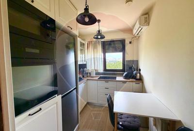 De vanzare 2 camere mobilat-utilat zona Piața Muncii - 3