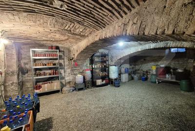 Proprietate deosebită cu panouri fotovoltaice si panouri solare –Sânpetru,BV. - 16