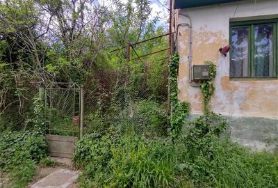 Sasca Montana | Oportunitate | Casa cu 230 MP Teren - 3