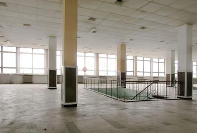 Diverse activitati comerciale si office - 4
