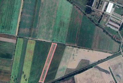 Teren Construcții extravilan de 15000 mp, în Salonta