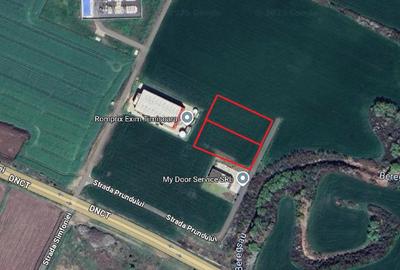 Teren de vânzare zona logistică Dumbrăvița Timiș - 2