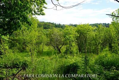 ZONA SUPERBA - TERENURI DE VANZARE - 29