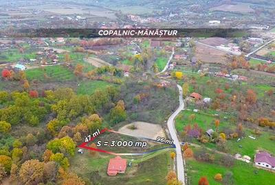 Teren intravilan de vânzare – Copalnic Mănăștur – 3.000 mp - 7