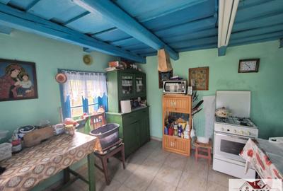 Vanzare casa in Henig -1700 mp teren - 6