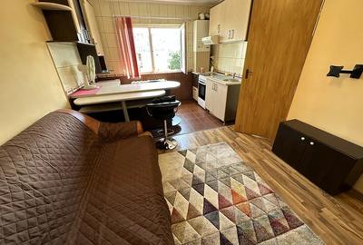 Apartament 1 cameră, 40 mp, Zona The Office, AC + centrală proprie, pet friendly - 2