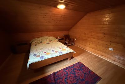 Cabana 5 dormitoare - 138.6 mp utili - 386 mp teren - Baisoara! - 13