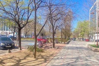 Bd. Unirii 5 camere Loft ! - 24