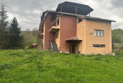Imobil comercial/turistic S+P+2 - oportunitate investitie Muereasca ( Valcea) - 7