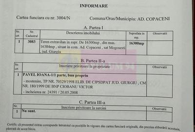 Teren 16.300 mp Mogoșești | ideal investiție și parcelare - 2