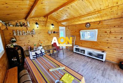 Casa 3 camere, mobilata, utilata, 300 mp teren, Ampoi 3 - 15