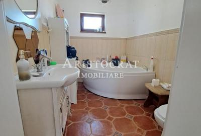 Vila Rustic Corbeanca Petresti - 26