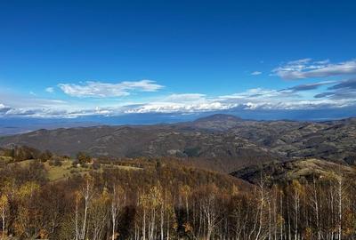 Teren extravilan 2ha, priveliste panoramica spre munti /Poiana Marului - 4