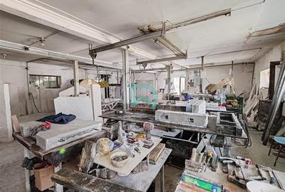 Vanzare hala industriala, Budila, Brasov - 3