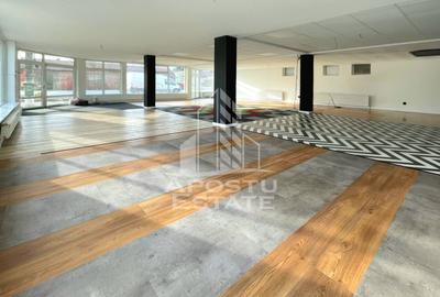 Spatiu Comercia/ Showroom 200mp util+curte720mp/GRADISTE - 1