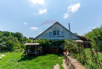 Casă  cu 10 camere in 2 corpuri de cladire (se pot vinde separat) - 19
