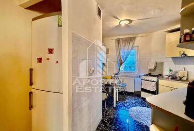 Apartament 3 camere de vanzare, etaj intermediar, Fabric Timisoara - 10