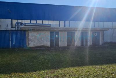 Hala Industriala de vanzare 6500 mp in Madaras la 30 km de Oradea, Bihor - 12