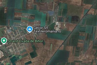 RECO Teren extravilan, zona Industriala in Livada de Bihor - 3