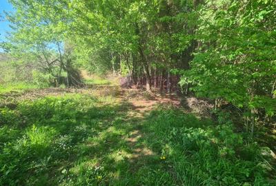 Teren de vanzare in Campina in zona retrasa - 11