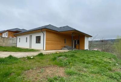 Casă unifamilială individuală pe un nivel - Corușu - 6