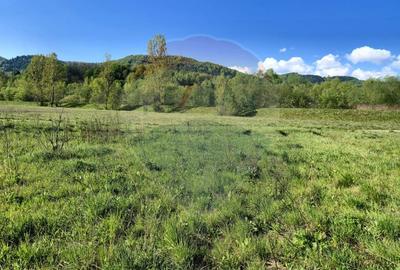 Teren 2,786mp Sighetu Marmatiei / Strada Zimbrului - 3