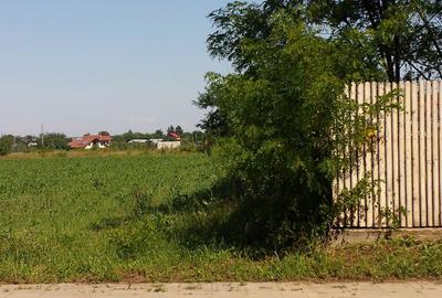Snagov - Vlădiceasca, teren 1700 mp - 4