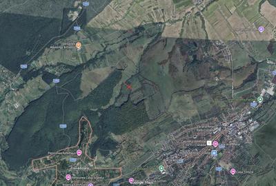 Teren de 21000 mp, în Cisnădie