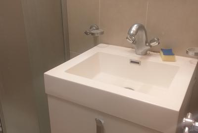 UNIVERSITATE - FACULTATEA DE ARHITECTURA, GARSONIERA, 30MP, MOBILATA - 8