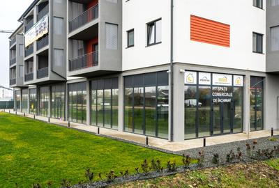 Spatiu Comercial  - Mehala - Strada Grigore Alexandrescu - 7