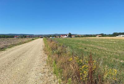 Reco, Teren intravilan Osorhei - 2