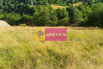 Teren Județul Vâlcea - Brezoi, Valea lui Stan - 38
