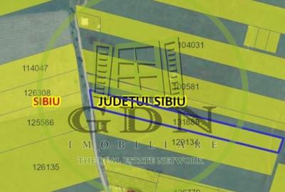 Teren intravilan Premium -Turnisor -oportunitate investitionala excelenta, 6000m - 2