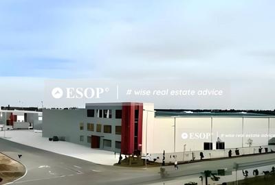 Spațiu industrial, 1575 mp în Exterior Sud