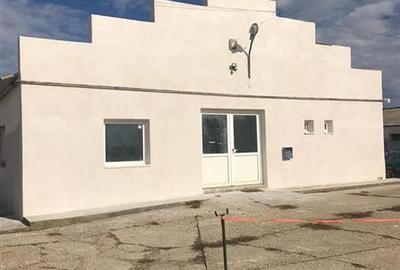 Hala renovata, cu acces rapid la autostrada - 1