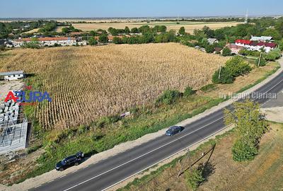 AZURA Imobiliare - Teren la DN7 langa Gaesti, Crangurile - Badulesti - 21