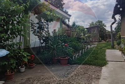 Casă cu 2 dormitoare si anexe gospodaresti de vanzare Cefa central - 9